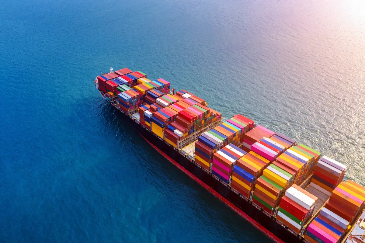 ocean freight schedule reliability 2026