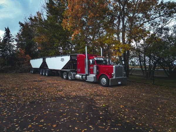 American long-nose 53-foot conventional cab semi-truck on a US highway in late autumn with golden leaves and a clear road ahead